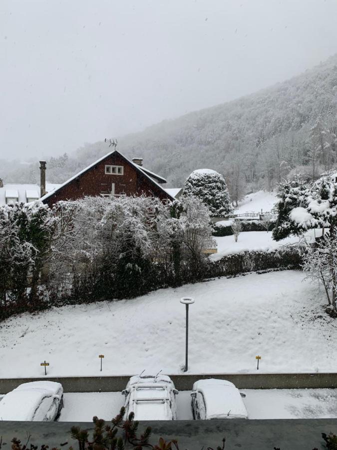 Appartement Vue Montagne Avec Wifi Saint-Lary-Soulan Eksteriør billede