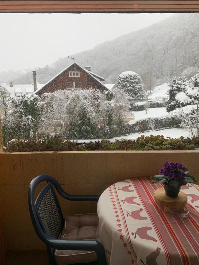 Appartement Vue Montagne Avec Wifi Saint-Lary-Soulan Eksteriør billede