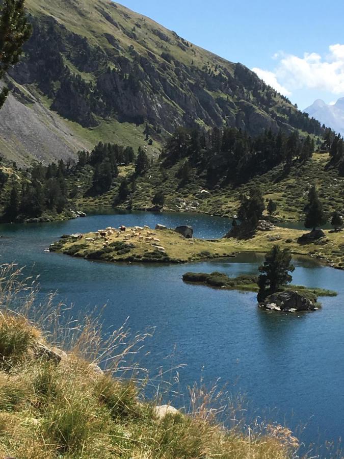 Appartement Vue Montagne Avec Wifi Saint-Lary-Soulan Eksteriør billede